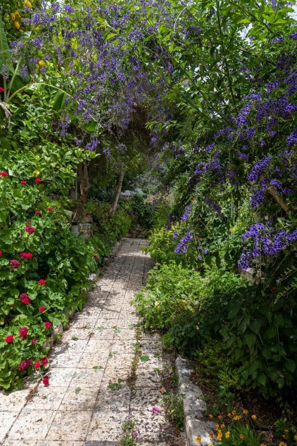 הבית בסמטת תל אביב Villa Rosh Pinna Dış mekan fotoğraf